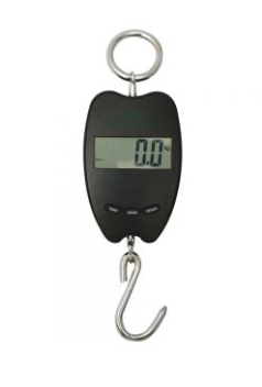 Scale Hanging Digital Kamer