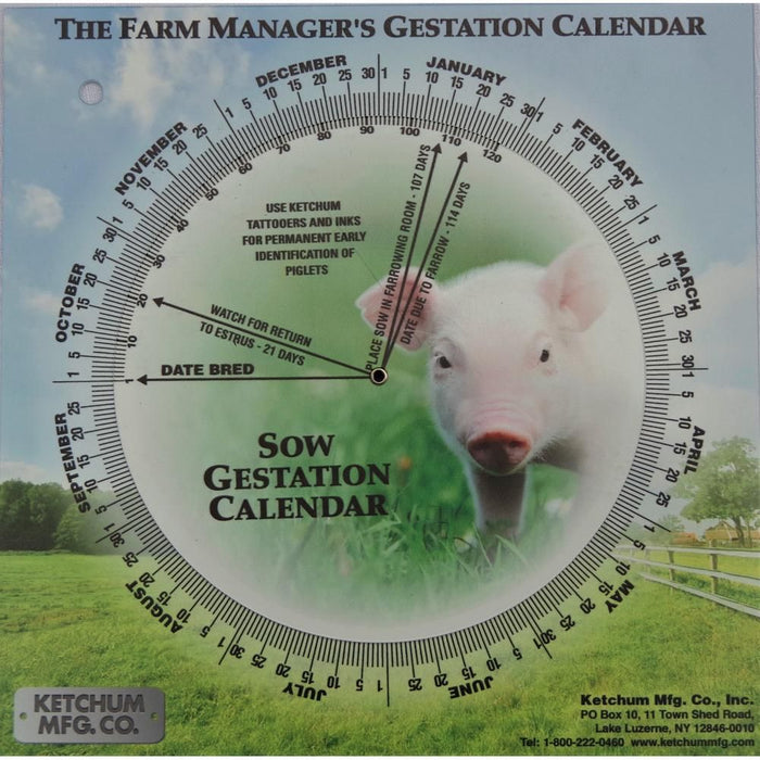 Gestation Calendar Sow