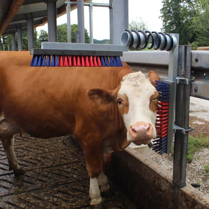 Scratch Brush HappyCow Cattle Each