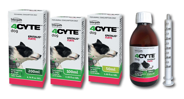 4CYTE CANINE EPIITALIS FORTE GEL