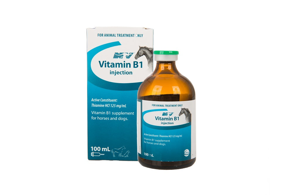 CEVA VITAMIN B1 INJECTION 100ML