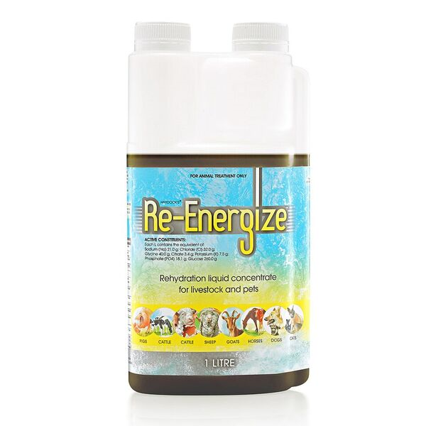 IAH RE-ENERGIZE 1L