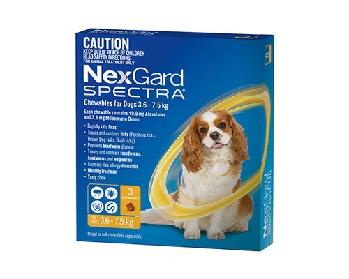 NEXGARD SPECTRA FOR DOGS - 6 CHEWS