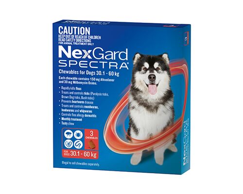 NEXGARD SPECTRA FOR DOGS - 3 CHEWS