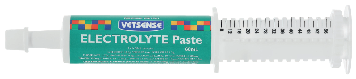 VETSENSE ELECTROLYTE PASTE 60ML