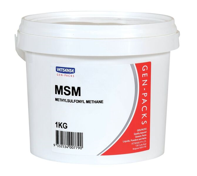 VETSENSE MSM POWDER 1KG