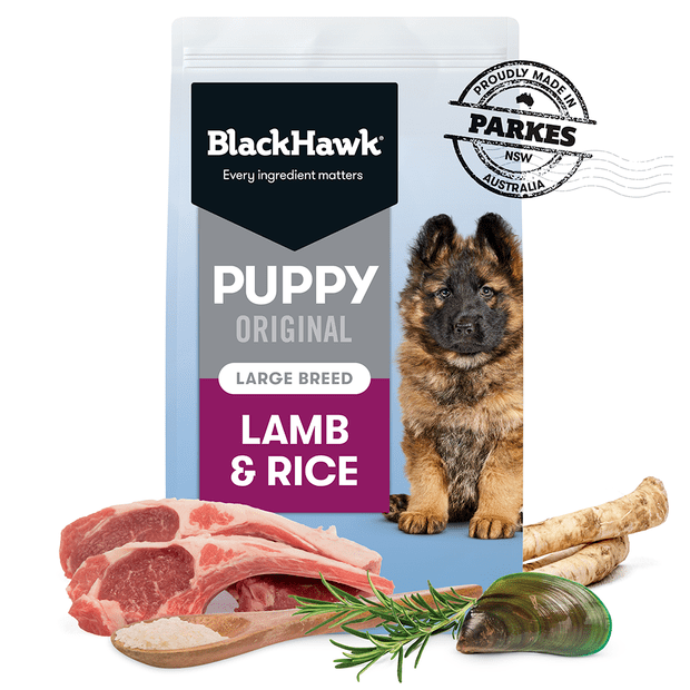 BLACK HAWK PUPPY LARGE BREED LAMB AND RICE