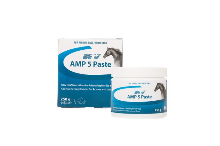 CEVA AMP 5 PASTE 250G