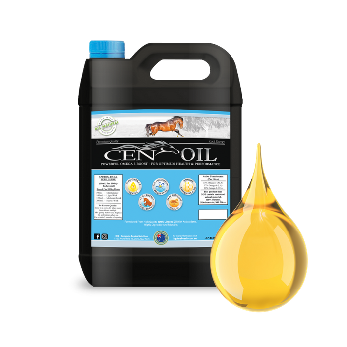 CEN OIL