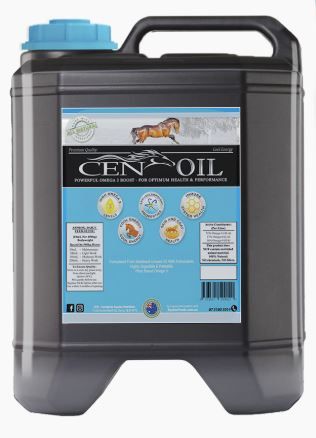 CEN OIL