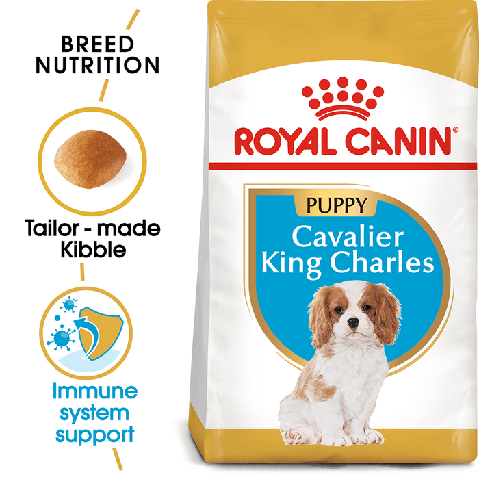 ROYAL CANIN CAVALIER KING CHARLES PUPPY